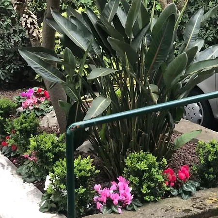 Appartement Casa Bijoux